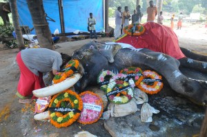 RAJ_0792