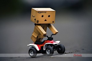 danbo-3-jpg