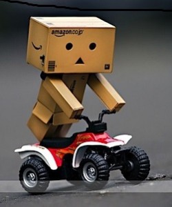 danbo-3-jpg