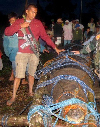 CROCODILE ONE TON .