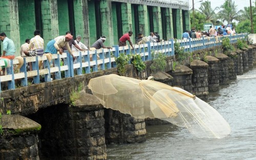 Backwater fishing in Kanoli