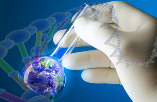Global Biotechnology