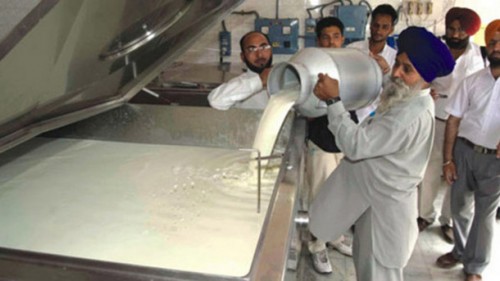 Milk Production in india