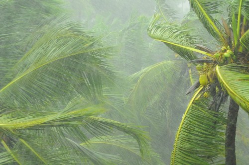 Monsoon pictures in Kerala