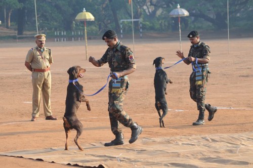 Passing Out Parade of Police Dogs 5