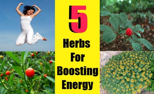 Top 5 Herbs for Boosting Energy