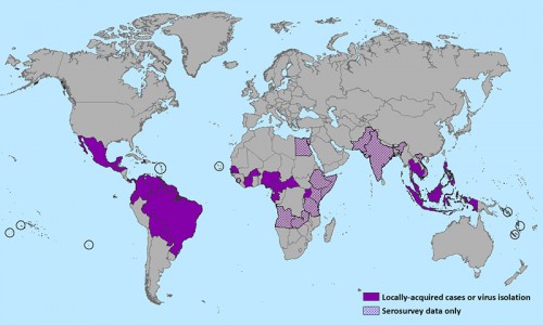 Zika Virus Outbreaks