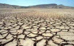 Govt introduces Mid Day Meal Scheme in Drought-Hit Areas