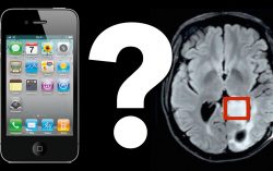 Mobile phones don’t cause brain cancer: Study Report