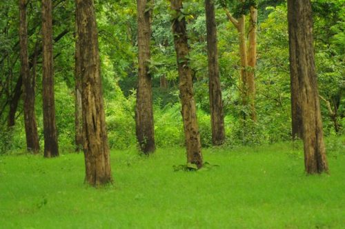 RAJ_9805