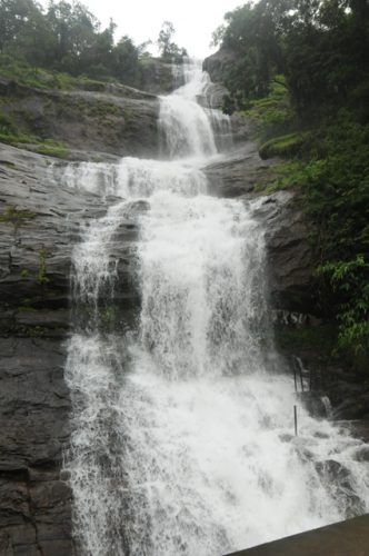 RAJ_7443