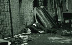 Brian, wake up you Drunken fool, you’re Shitting in the Bed