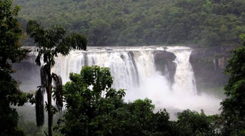 Athirappilly (4)
