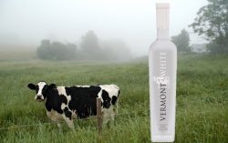 Satire: Milk will give you strength and Vodka will give you Ideas