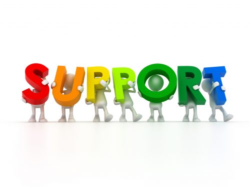Support team