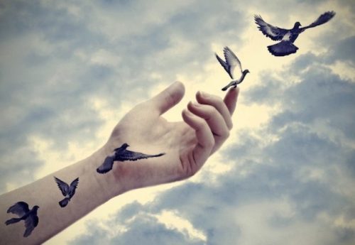 freedom1