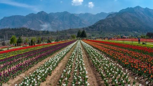 understand-the-real-issue-of-kashmir