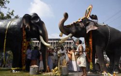 Gajarajan Guruvayur Kesavan