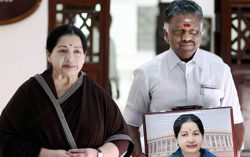 Who is Paneer Selvam? – Satire