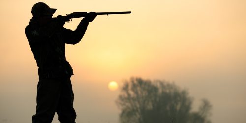 hunter