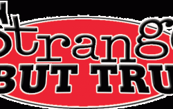 Trust your Senses. Live a Great Life. Strange but true…!!!!!