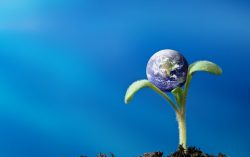 Law of Nature: Never forget this