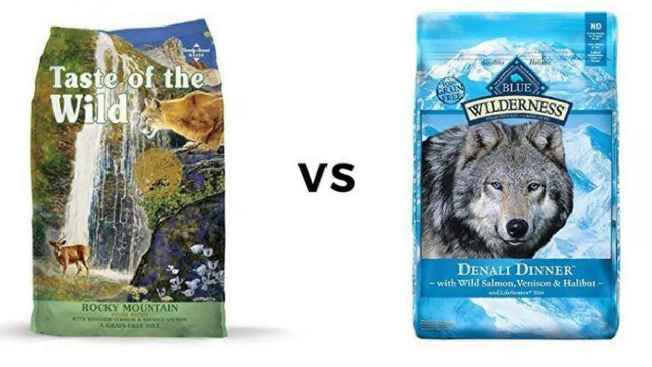 seresto or frontline