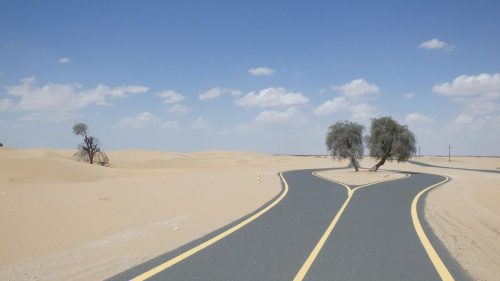 Al Qudra Cycling Trail