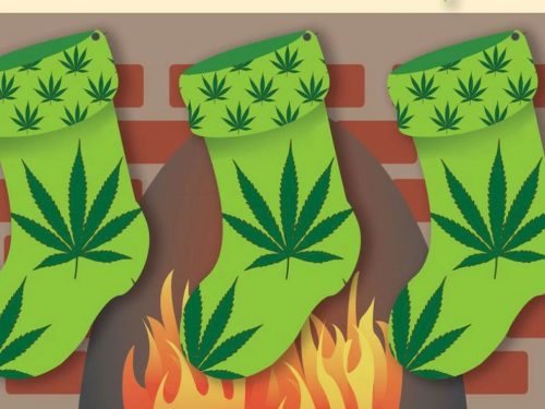 Cannabis Connoisseur