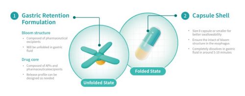 unnamed-file