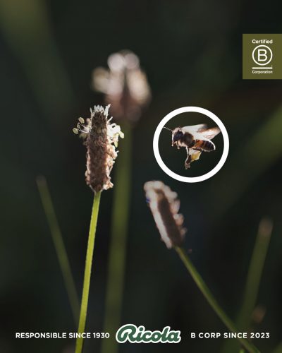 240226-Ricola-BCorp-2