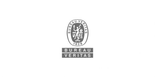 337px_Logo-BV_RGB-GRAY