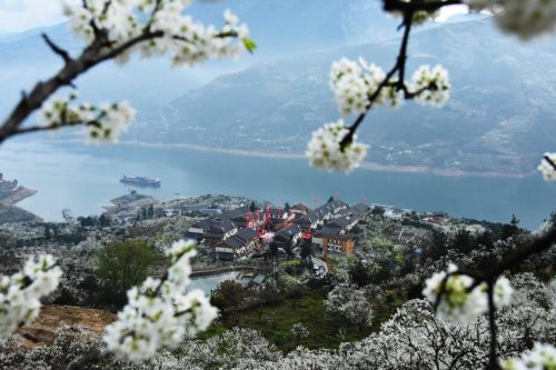 image-1-15