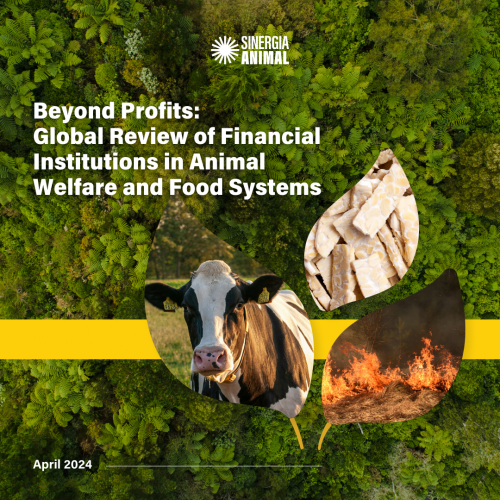 Banks-report-Cover-image-and-inp