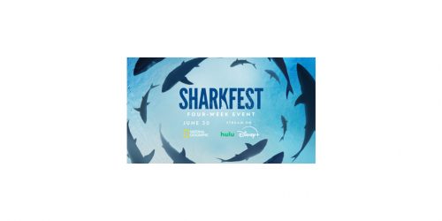 Sharkfest
