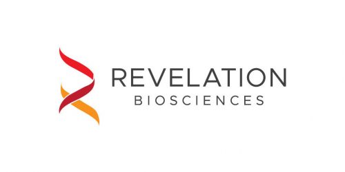 revelation