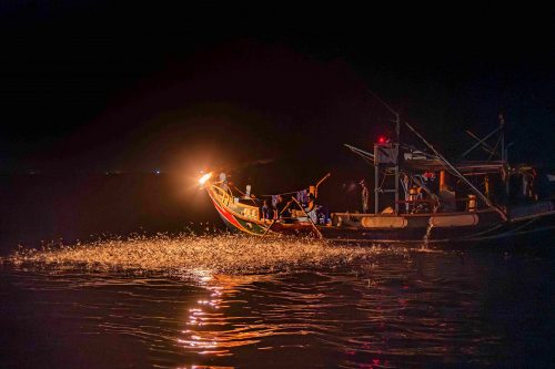 Sulfuric-Fire-Fishing-a-fishing-