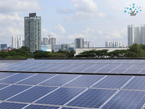PMCE-solar-panels