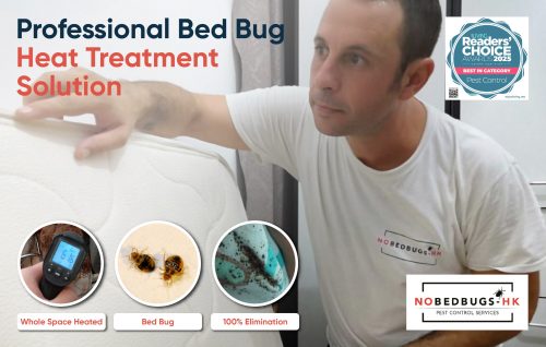 01-NoBedBugs-Image