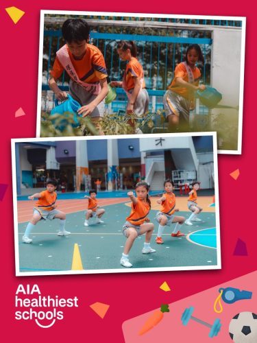 AIA-2024-25-