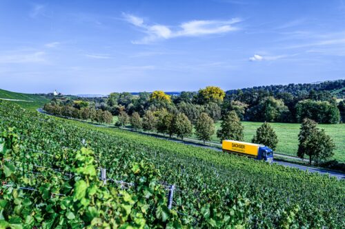 Dascher-Photo