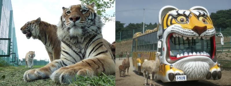 Iwate Safari Park (Iwate Prefecture)