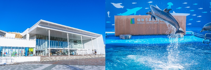 Sendai Umino-Mori Aquarium (Miyagi Prefecture)