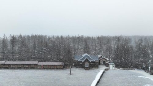 image-1-1
