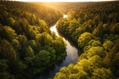 news46