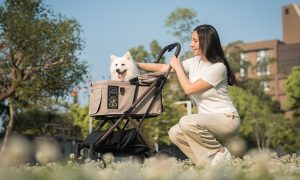 Fikago Blending Pet Stroller Wit 300x180