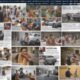 Manorama Online Complete Overview Traffic Stats Apps And Awards 1789695666 80x80