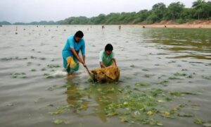 Mission Swachh Sagar Indias Drive To Clean The Oceans 1789713678 300x180