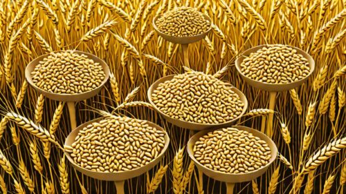 peshwa-wheat-ipo-day-2-key-highlights-subscription-details-and-what-investors-need-to-know-1790315666