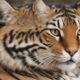 Tiger Cat Breed Overview Care Tips And Common Questions 1789891868 80x80
